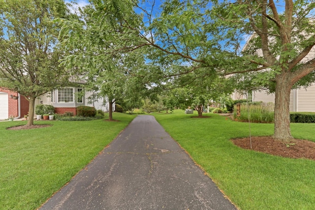 6406 Cunningham Ct, Gurnee, IL 60031 - view of front of house with brick siding and a front lawn