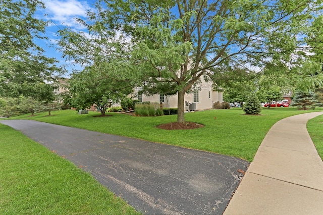 6406 Cunningham Ct, Gurnee, IL 60031 - view of front of home with a front lawn