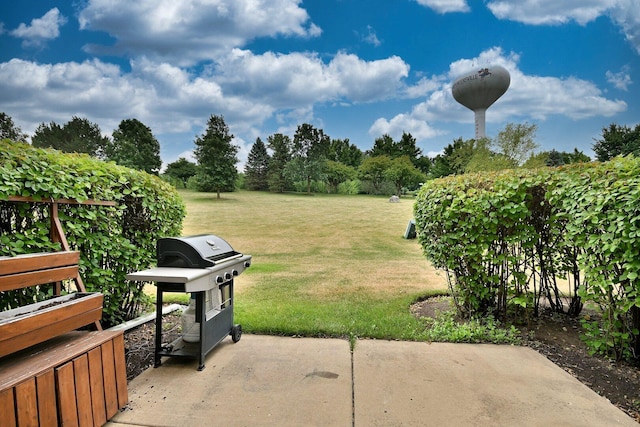 2224 Flagstone Ln Unit 2224, Carpentersville, IL 60110 - view of green lawn featuring a patio