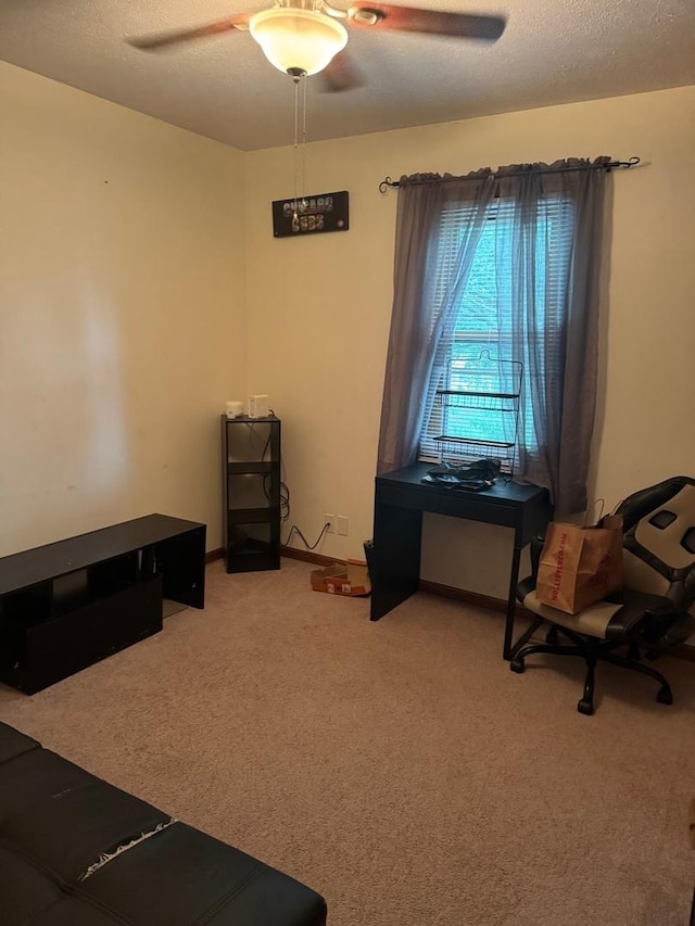 815 Arnold Ave, Rockford, IL 61108 - home office featuring a ceiling fan, light colored carpet, and a textured ceiling