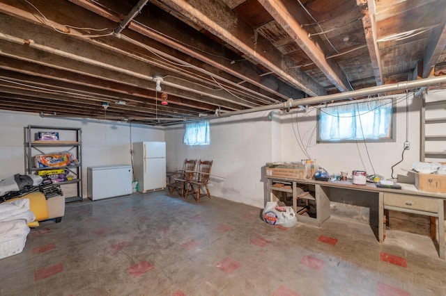 102 E Front St, Mount Morris, IL 61054 - basement with freestanding refrigerator and fridge