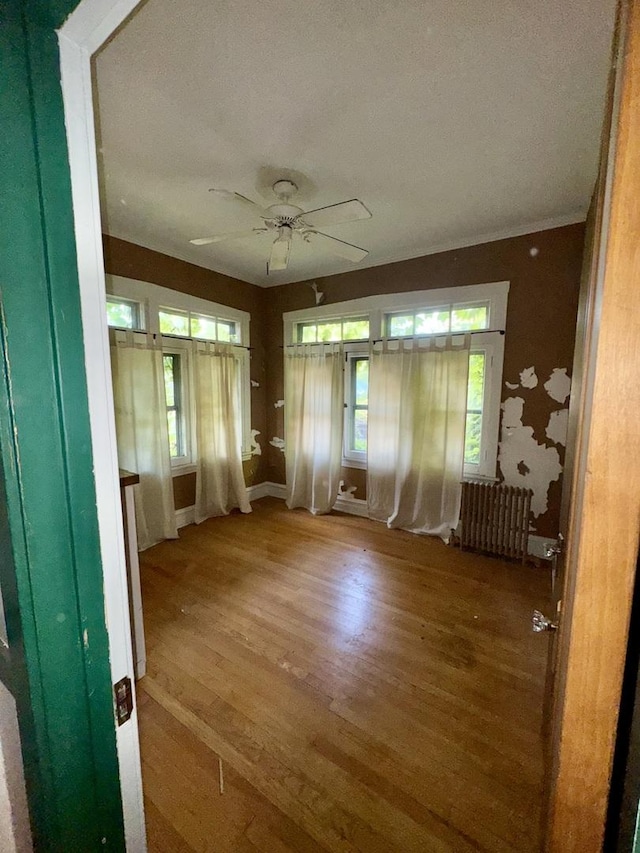 2925 W Eastwood Ave, Chicago, IL 60525 - foyer featuring radiator heating unit, wood finished floors, plenty of natural light, and a ceiling fan