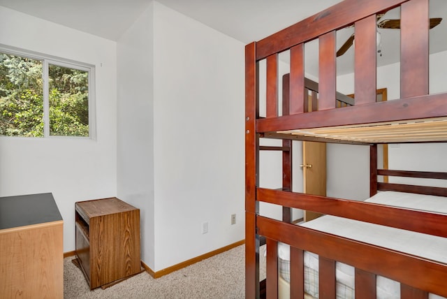 168 Fossil Cove Ln, Wilmington, IL 60481 - photo 19