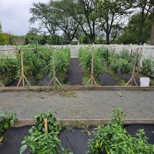 view of yard with a garden