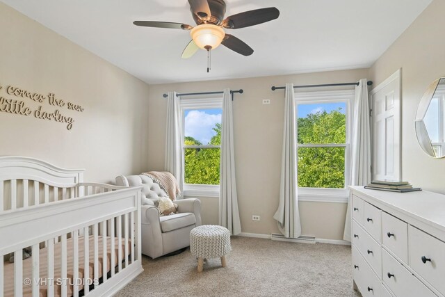101 Tudor Dr, Barrington, IL 60010 - photo 21
