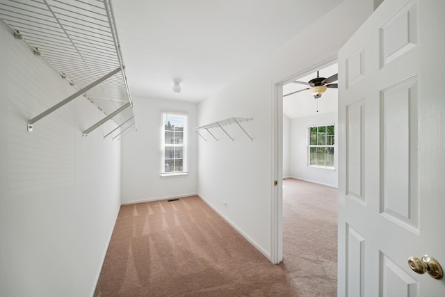 415 Bay Tree Cir, Vernon Hills, IL 60061 - walk in closet with carpet and a ceiling fan