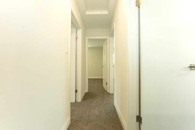 15709 Maryland Ave, Dolton, IL 60419 - hallway with dark carpet and attic access