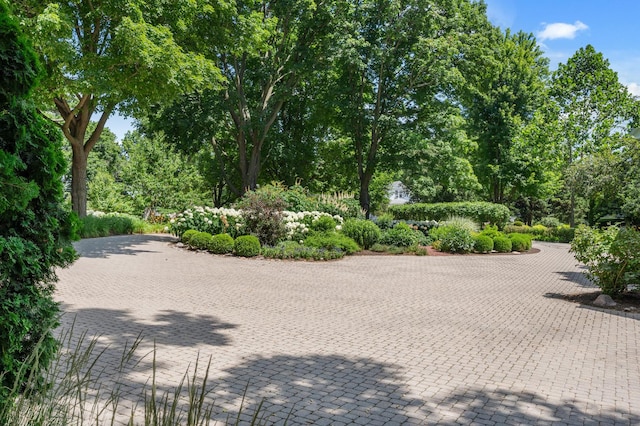 740 W State St, Sycamore, IL 60178 - photo 8