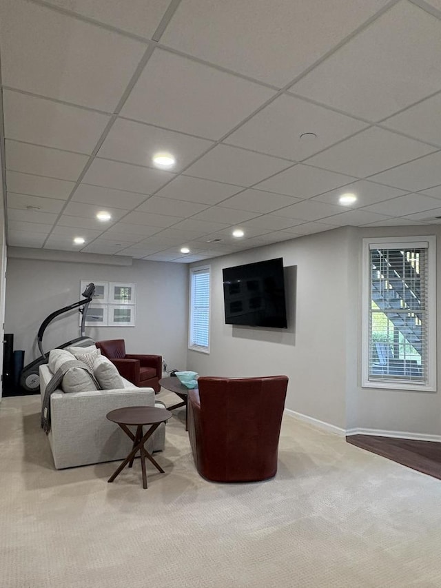 17 Harborside Way, Hawthorn Woods, IL 60047 - living area with carpet flooring and recessed lighting