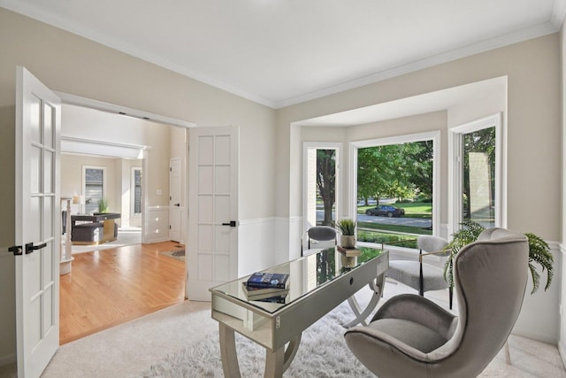 1123 Thackery Ln, Naperville, IL 60564 - home office with crown molding, french doors, and carpet