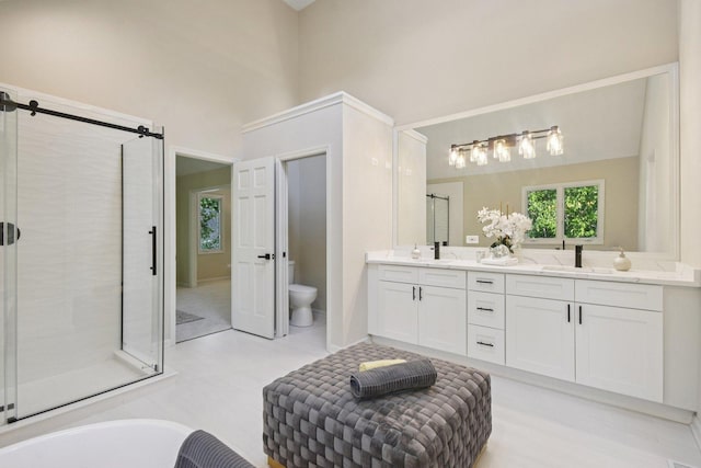 1123 Thackery Ln, Naperville, IL 60564 - bathroom featuring double vanity, a stall shower, a tub, and a towering ceiling