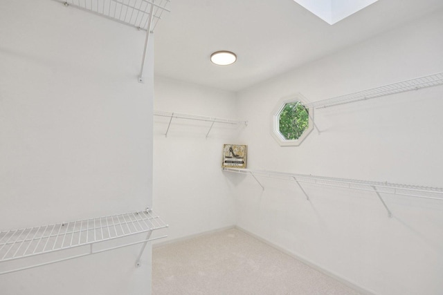 1123 Thackery Ln, Naperville, IL 60564 - walk in closet with carpet