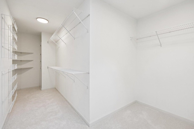 1123 Thackery Ln, Naperville, IL 60564 - spacious closet with light carpet