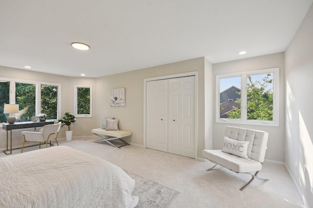1123 Thackery Ln, Naperville, IL 60564 - carpeted bedroom with multiple windows, recessed lighting, and a closet