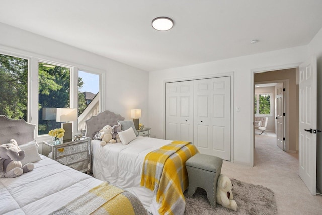 1123 Thackery Ln, Naperville, IL 60564 - bedroom with light colored carpet and a closet