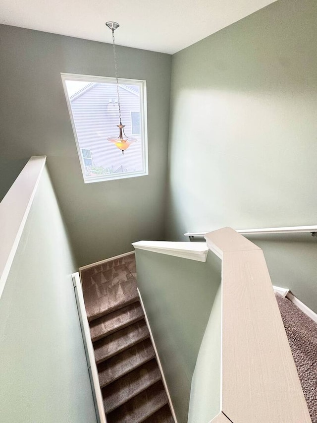 5 Boathouse Rd, Pingree Grove, IL 60140 - stairway featuring baseboards and carpet flooring