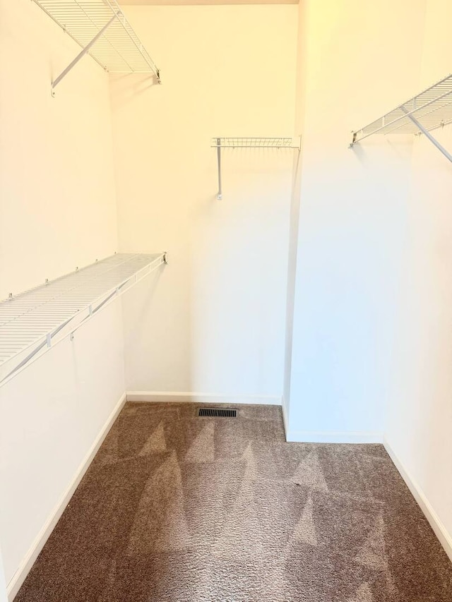 5 Boathouse Rd, Pingree Grove, IL 60140 - walk in closet featuring carpet flooring