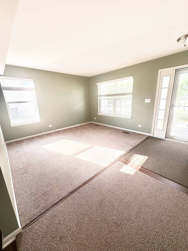 5 Boathouse Rd, Pingree Grove, IL 60140 - unfurnished room featuring carpet and plenty of natural light