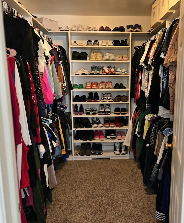20517 Superior Ct, Crest Hill, IL 60403 - walk in closet with carpet flooring