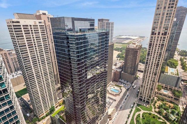 512 N Mcclurg Ct Unit 4302, Chicago, IL 60611 - view of city with a large body of water