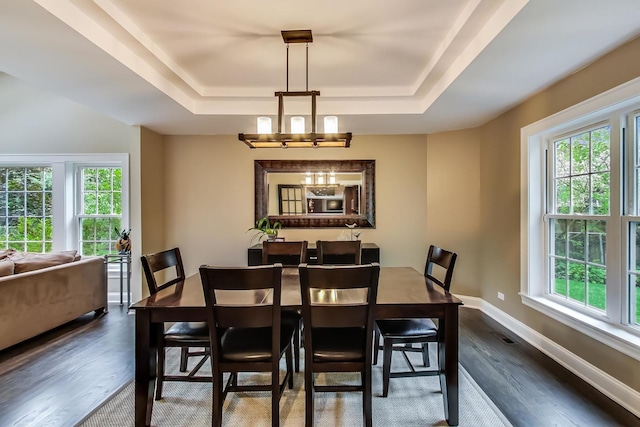 1194 Oxford Ct, Highland Park, IL 60035 - dining room featuring a tray ceiling, dark wood-style floors, and plenty of natural light