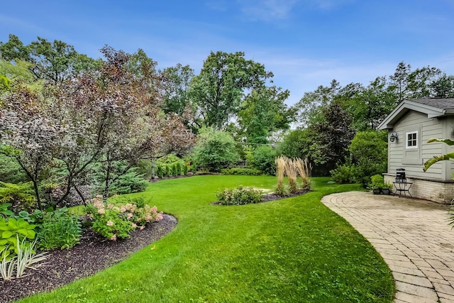1194 Oxford Ct, Highland Park, IL 60035 - view of grassy yard featuring a patio and view of wooded area