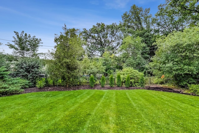 1194 Oxford Ct, Highland Park, IL 60035 - view of green lawn