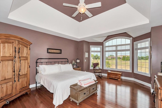 24155 S Blackhawk Ln, Manhattan, IL 60442 - bedroom featuring a tray ceiling, dark wood-style floors, and a ceiling fan