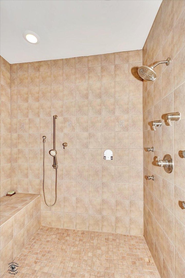 24155 S Blackhawk Ln, Manhattan, IL 60442 - full bath featuring tiled shower