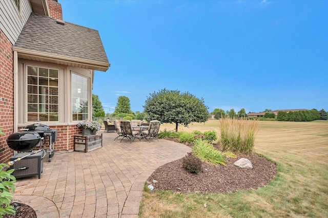 24155 S Blackhawk Ln, Manhattan, IL 60442 - view of patio