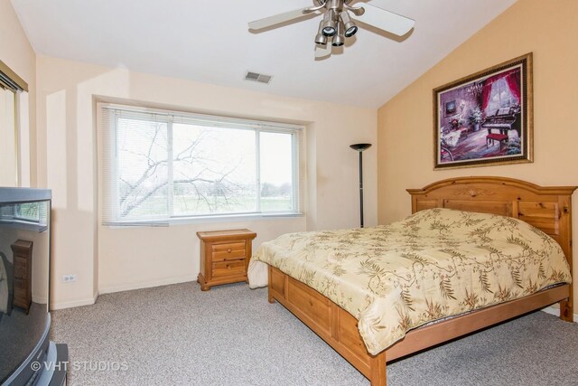226 Sierra Pass Dr, Schaumburg, IL 60194 - photo 17