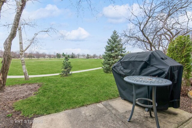 226 Sierra Pass Dr, Schaumburg, IL 60194 - photo 3
