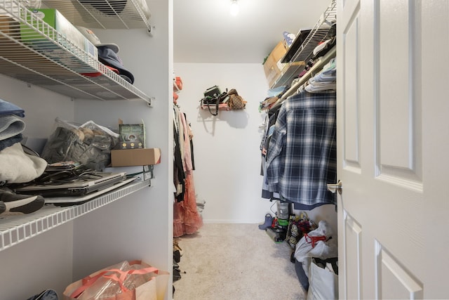 717 Tipperary Ct Unit 2B, Schaumburg, IL 60193 - spacious closet featuring carpet
