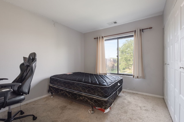 717 Tipperary Ct Unit 2B, Schaumburg, IL 60193 - bedroom featuring carpet floors and a closet