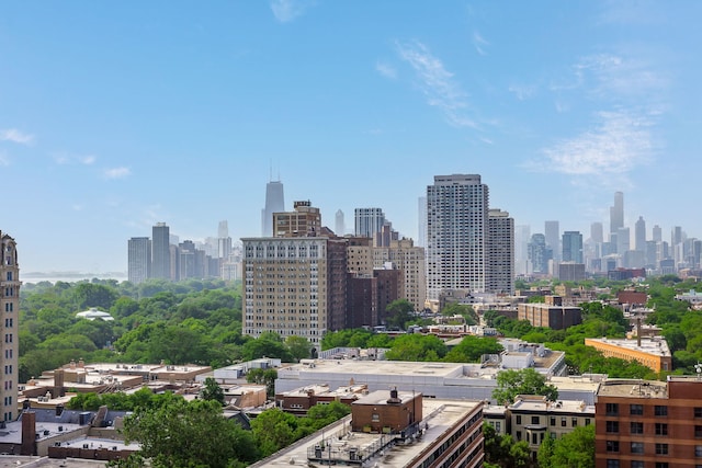 345 W Fullerton Pkwy Unit 1706, Chicago, IL 60614 - skyline view