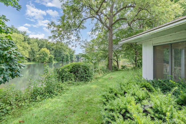8901 Van Emmon Rd, Yorkville, IL 60560 - photo 33