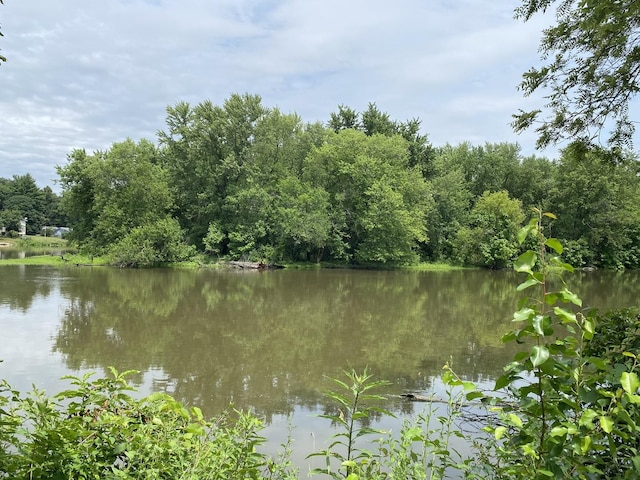 8901 Van Emmon Rd, Yorkville, IL 60560 - photo 35