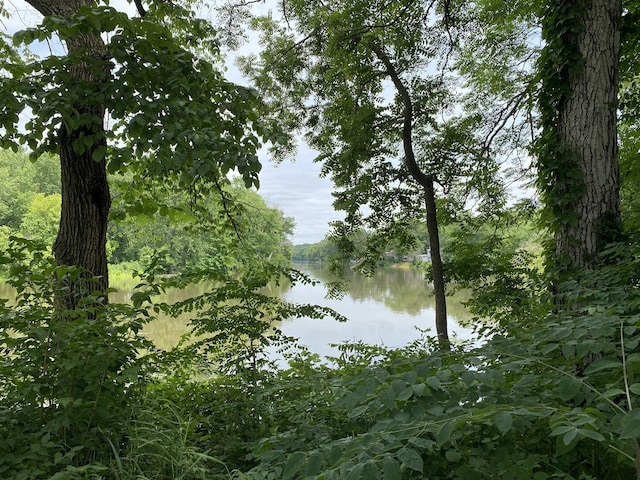 8901 Van Emmon Rd, Yorkville, IL 60560 - photo 40