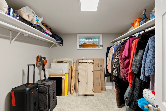 506 E Russell St, Barrington, IL 60010 - spacious closet featuring carpet floors