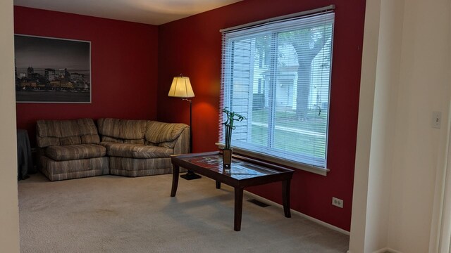 1991 N Williamsburg Dr, Palatine, IL 60074 - photo 13