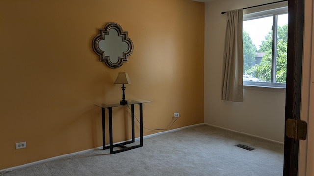 1991 N Williamsburg Dr, Palatine, IL 60074 - photo 20