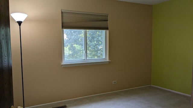 1991 N Williamsburg Dr, Palatine, IL 60074 - photo 28