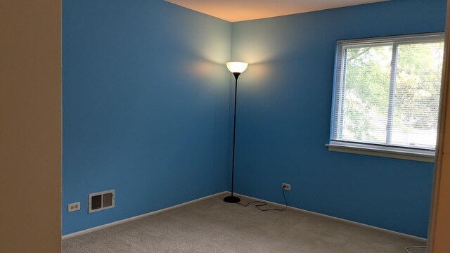1991 N Williamsburg Dr, Palatine, IL 60074 - photo 30