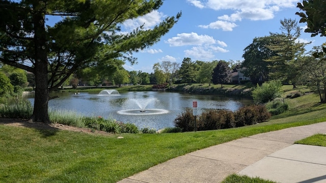 1991 N Williamsburg Dr, Palatine, IL 60074 - photo 50