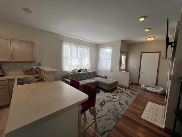163 Mountain Laurel Ct, Romeoville, IL 60446 - living area with wood finished floors