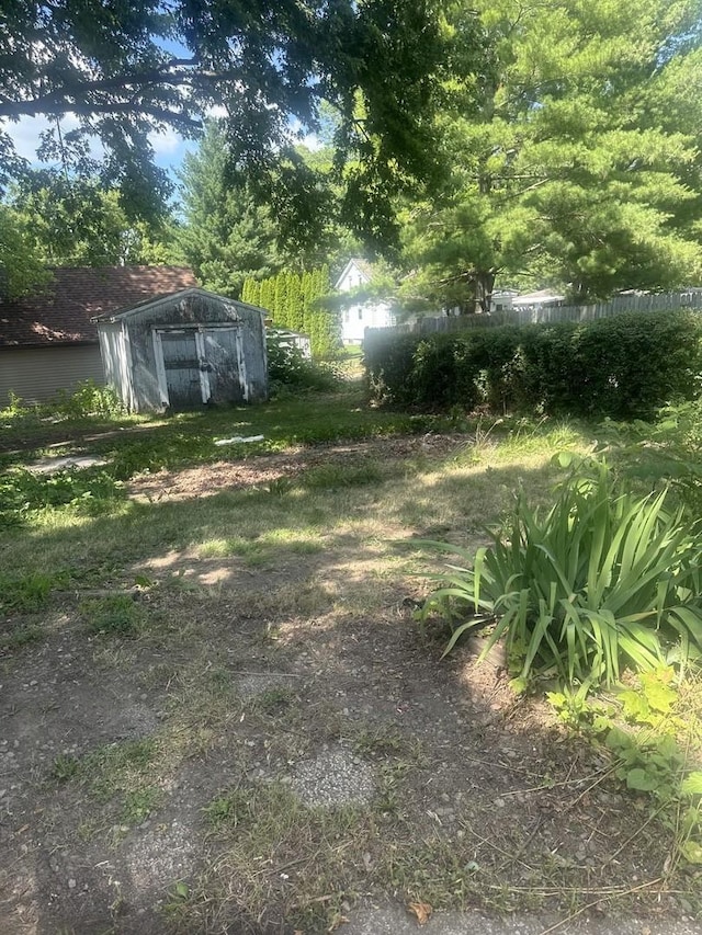 201 E N St, Saybrook, IL 61770 - view of yard with a storage shed