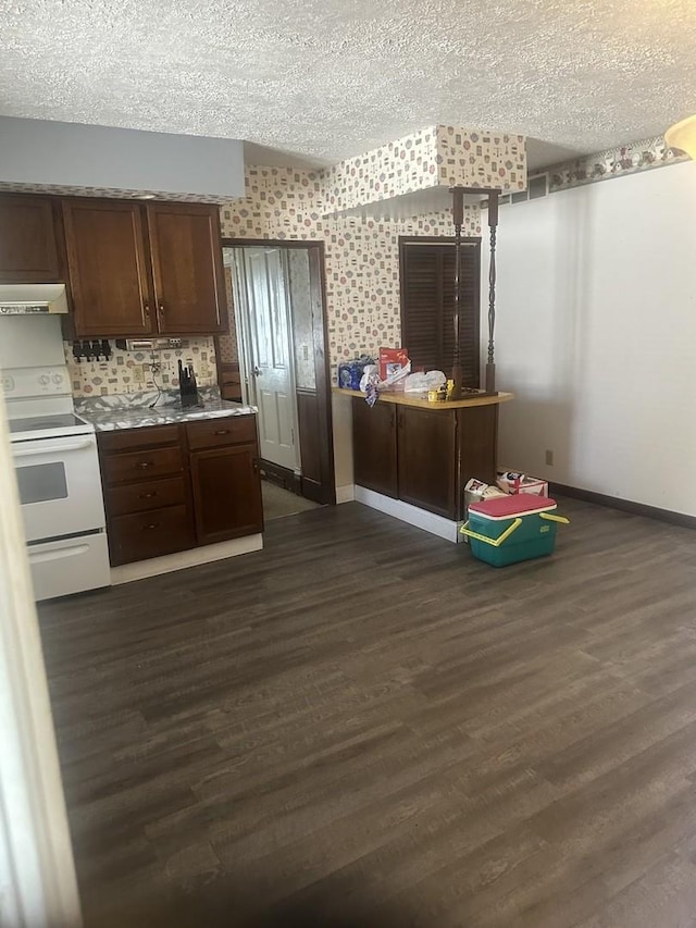 201 E N St, Saybrook, IL 61770 - kitchen featuring electric range, ventilation hood, dark wood finished floors, a textured ceiling, and light countertops