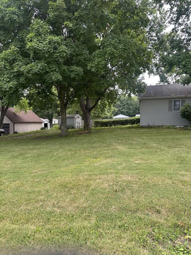 201 E N St, Saybrook, IL 61770 - view of green lawn featuring a shed