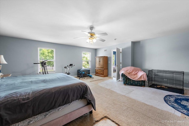 243 Johnson St, Hampshire, IL 60140 - carpeted bedroom featuring a ceiling fan