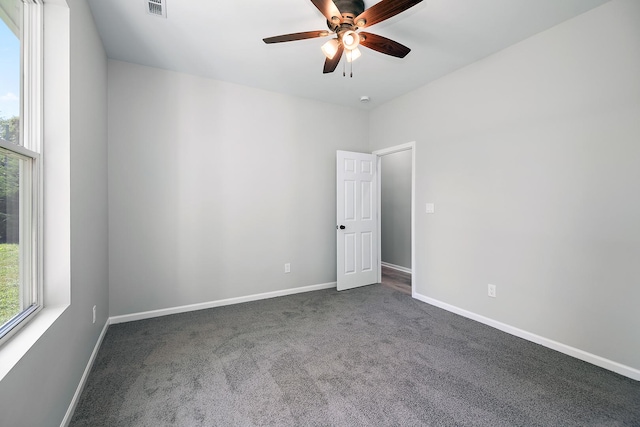 121 Pine St, Buckingham, IL 60917 - unfurnished room with carpet floors and ceiling fan